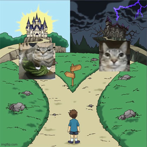 Two Paths | image tagged in two paths | made w/ Imgflip meme maker