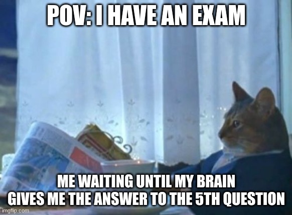 Pov: Exam. | POV: I HAVE AN EXAM; ME WAITING UNTIL MY BRAIN GIVES ME THE ANSWER TO THE 5TH QUESTION | image tagged in memes,i should buy a boat cat | made w/ Imgflip meme maker