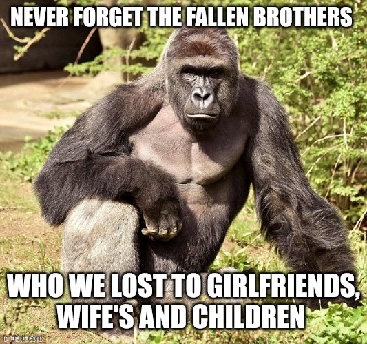 never forget | NEVER FORGET THE FALLEN BROTHERS; WHO WE LOST TO GIRLFRIENDS, WIFE'S AND CHILDREN | image tagged in never forget,memes | made w/ Imgflip meme maker