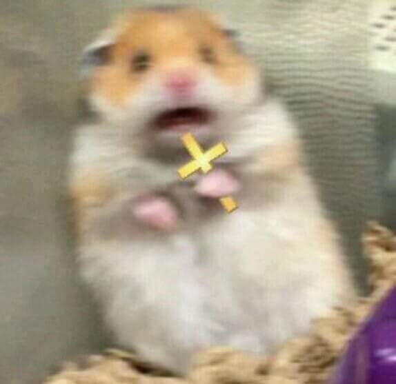 Scared hamster with cross Blank Meme Template