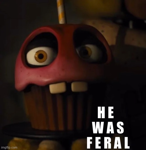 H E  
W A S
F E R A L | made w/ Imgflip meme maker