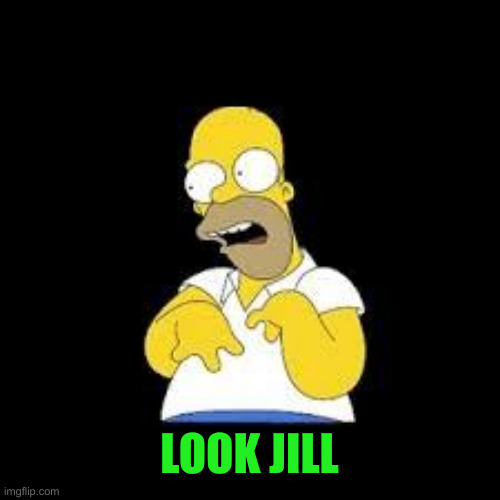 Look Marge | LOOK JILL | image tagged in look marge | made w/ Imgflip meme maker