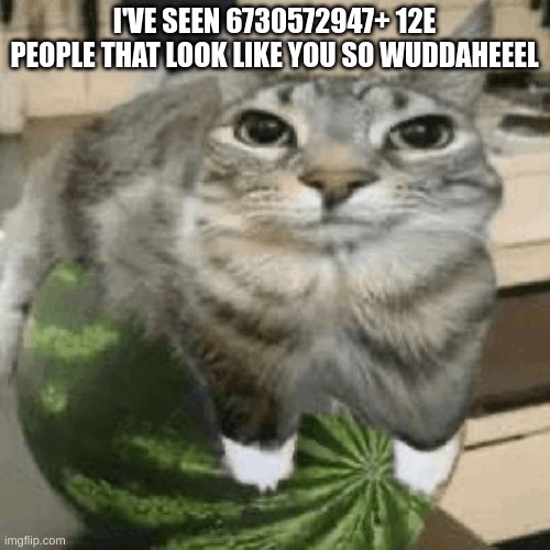 Cat on melon | I'VE SEEN 6730572947+ 12E PEOPLE THAT LOOK LIKE YOU SO WUDDAHEEEL | image tagged in cat on melon | made w/ Imgflip meme maker