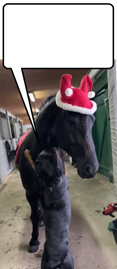 High Quality Thanks to Santa Horse Blank Meme Template