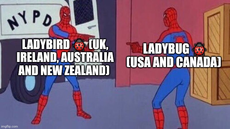 When the word ladybird meets the word Ladybug | LADYBIRD 🐞 (UK, IRELAND, AUSTRALIA AND NEW ZEALAND); LADYBUG 🐞 (USA AND CANADA) | image tagged in spiderman pointing at spiderman | made w/ Imgflip meme maker