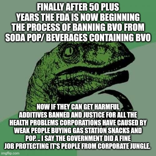 Philosoraptor Meme | FINALLY AFTER 50 PLUS YEARS THE FDA IS NOW BEGINNING THE PROCESS OF BANNING BVO FROM SODA POP/ BEVERAGES CONTAINING BVO; NOW IF THEY CAN GET HARMFUL ADDITIVES BANNED AND JUSTICE FOR ALL THE HEALTH PROBLEMS CORPORATIONS HAVE CAUSED BY WEAK PEOPLE BUYING GAS STATION SNACKS AND POP. .. I SAY THE GOVERNMENT DID A FINE JOB PROTECTING IT'S PEOPLE FROM CORPORATE JUNGLE. | image tagged in memes,philosoraptor | made w/ Imgflip meme maker