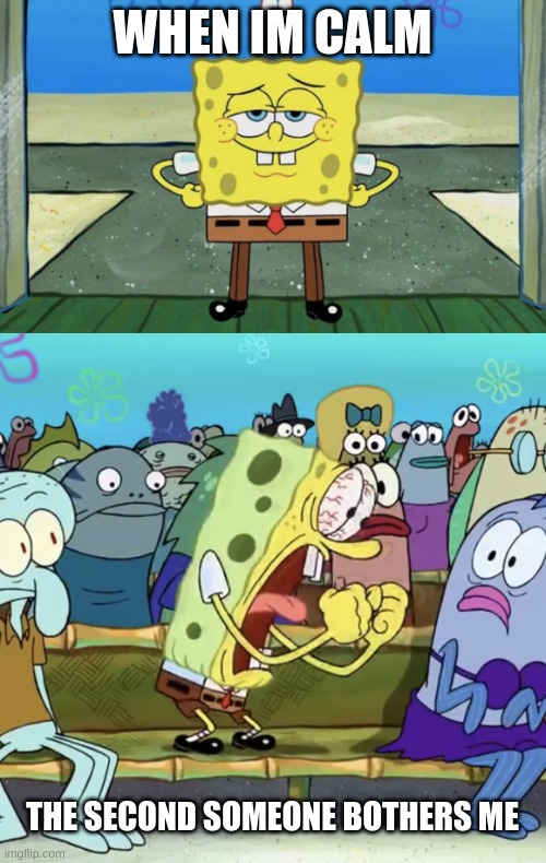 WHEN IM CALM; THE SECOND SOMEONE BOTHERS ME | image tagged in smart spongebob,spongebob yelling | made w/ Imgflip meme maker