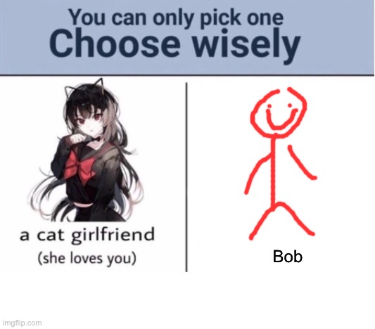 I would chose bob | Bob | image tagged in choose wisely | made w/ Imgflip meme maker