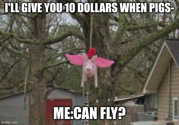 I'LL GIVE YOU 10 DOLLARS WHEN PIGS-; ME:CAN FLY? | image tagged in imagine,being,wrong | made w/ Imgflip meme maker