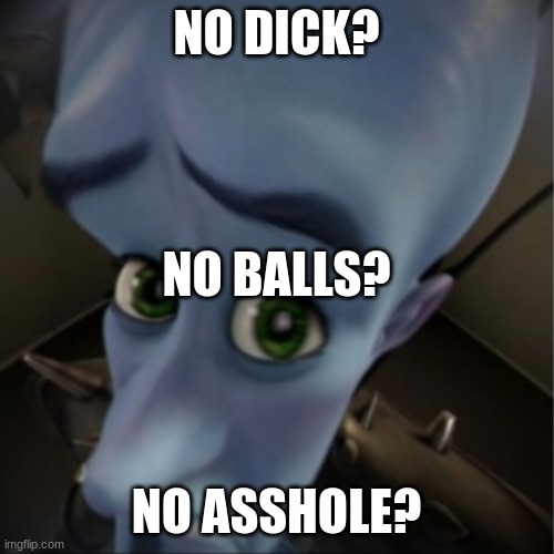 Megamind peeking | NO DICK? NO ASSHOLE? NO BALLS? | image tagged in megamind peeking | made w/ Imgflip meme maker