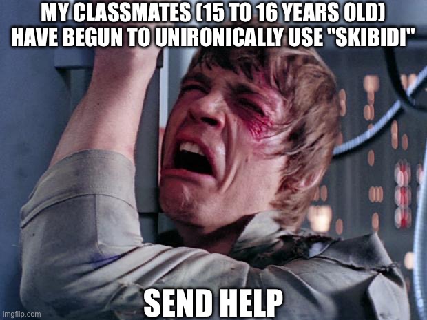 help | MY CLASSMATES (15 TO 16 YEARS OLD) HAVE BEGUN TO UNIRONICALLY USE "SKIBIDI"; SEND HELP | image tagged in luke nooooo | made w/ Imgflip meme maker