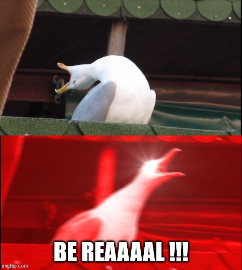 screaming seagull | BE REAAAAL !!! | image tagged in screaming seagull | made w/ Imgflip meme maker