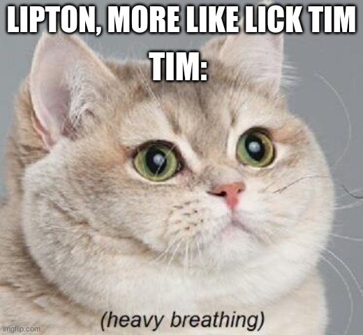 Heavy Breathing Cat Meme | TIM:; LIPTON, MORE LIKE LICK TIM | image tagged in memes,heavy breathing cat,lipton | made w/ Imgflip meme maker