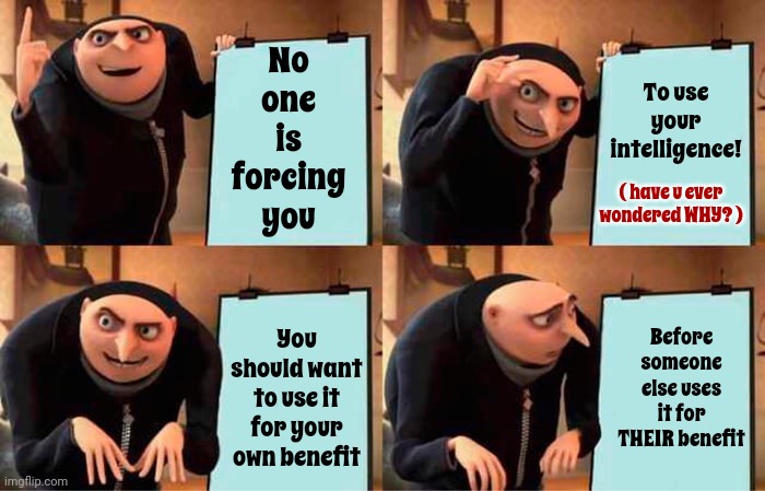 Everyone. Has. An. Agenda. | No one is forcing you; To use your intelligence! ( have u ever wondered WHY? ); Before someone else uses it for THEIR benefit; You should want to use it for your own benefit | image tagged in memes,gru's plan,be careful,protect yourself,wake up,educate yourself | made w/ Imgflip meme maker