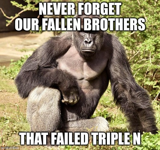 don't upvote or u will fail triple n | NEVER FORGET OUR FALLEN BROTHERS; THAT FAILED TRIPLE N | image tagged in never forget,never forgot | made w/ Imgflip meme maker