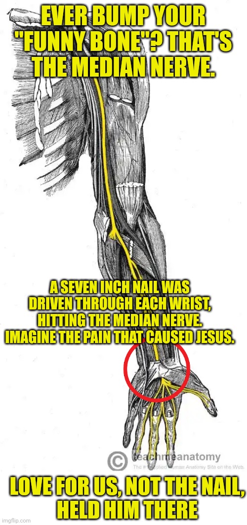 EVER BUMP YOUR "FUNNY BONE"? THAT'S THE MEDIAN NERVE. A SEVEN INCH NAIL WAS DRIVEN THROUGH EACH WRIST, HITTING THE MEDIAN NERVE. IMAGINE THE PAIN THAT CAUSED JESUS. LOVE FOR US, NOT THE NAIL,
HELD HIM THERE | image tagged in median nerve,blank white template | made w/ Imgflip meme maker