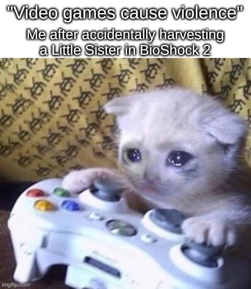 Crying cat xbox | "Video games cause violence" Me after accidentally harvesting a Little Sister in BioShock 2 | image tagged in crying cat xbox | made w/ Imgflip meme maker