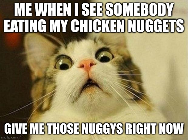 Im all about those chicken nuggets | ME WHEN I SEE SOMEBODY EATING MY CHICKEN NUGGETS; GIVE ME THOSE NUGGYS RIGHT NOW | image tagged in memes,scared cat | made w/ Imgflip meme maker