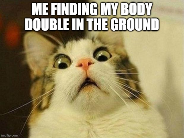 Scared Cat | ME FINDING MY BODY DOUBLE IN THE GROUND | image tagged in memes,scared cat,funny,funny memes | made w/ Imgflip meme maker