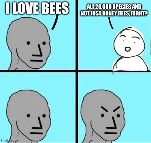 NPC Meme | I LOVE BEES; ALL 20,000 SPECIES AND NOT JUST HONEY BEES, RIGHT? | image tagged in npc meme,bees,animal meme,funny animal meme,memes,shitpost | made w/ Imgflip meme maker
