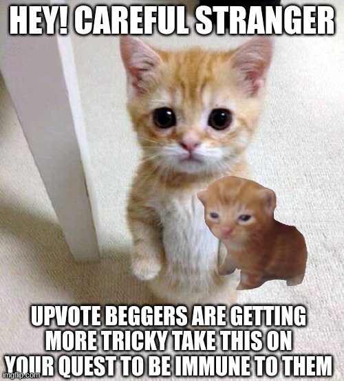 Cute Cat Meme | HEY! CAREFUL STRANGER; UPVOTE BEGGERS ARE GETTING MORE TRICKY TAKE THIS ON YOUR QUEST TO BE IMMUNE TO THEM | image tagged in memes,cute cat | made w/ Imgflip meme maker