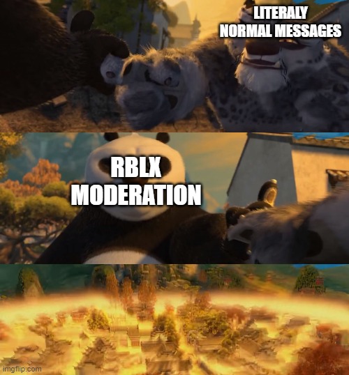 Kung Fu Panda counterpt | LITERALY NORMAL MESSAGES; RBLX MODERATION | image tagged in kung fu panda counterpt | made w/ Imgflip meme maker