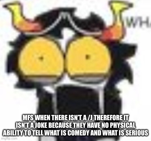 gamzee WHAT. | MFS WHEN THERE ISN’T A /J THEREFORE IT ISN’T A JOKE BECAUSE THEY HAVE NO PHYSICAL ABILITY TO TELL WHAT IS COMEDY AND WHAT IS SERIOUS | image tagged in gamzee what | made w/ Imgflip meme maker