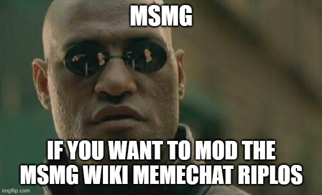 Matrix Morpheus Meme | MSMG; IF YOU WANT TO MOD THE MSMG WIKI MEMECHAT RIPLOS | image tagged in memes,matrix morpheus | made w/ Imgflip meme maker