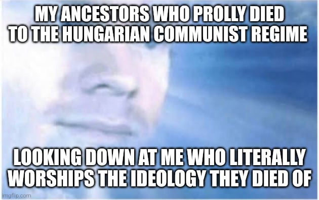 Fr | MY ANCESTORS WHO PROLLY DIED TO THE HUNGARIAN COMMUNIST REGIME; LOOKING DOWN AT ME WHO LITERALLY WORSHIPS THE IDEOLOGY THEY DIED OF | image tagged in in heaven looking down | made w/ Imgflip meme maker