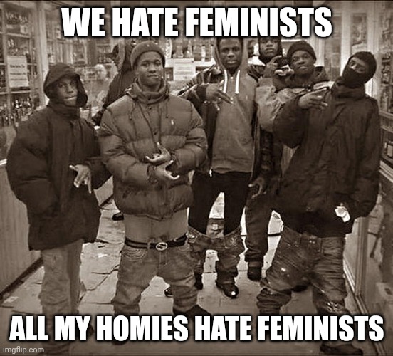 We hate feminists | WE HATE FEMINISTS; ALL MY HOMIES HATE FEMINISTS | image tagged in all my homies hate | made w/ Imgflip meme maker