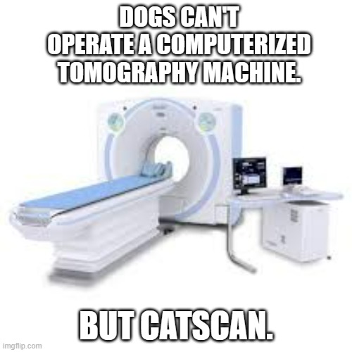 meme by Brad catscan cat humor | DOGS CAN'T OPERATE A COMPUTERIZED TOMOGRAPHY MACHINE. BUT CATSCAN. | image tagged in cats,funny,funny cat memes,humor,funny cats | made w/ Imgflip meme maker
