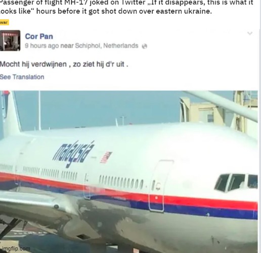 rip victims of flight mh17 | image tagged in plane crash | made w/ Imgflip meme maker