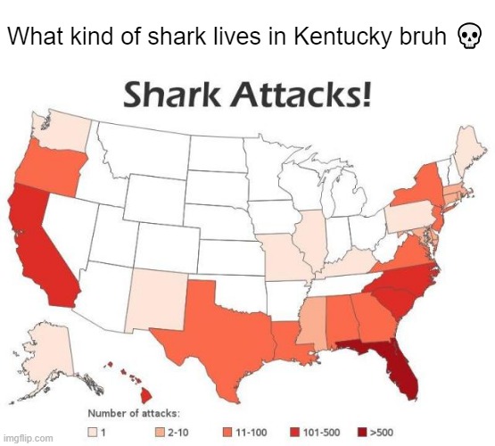 What kind of shark lives in Kentucky bruh 💀 | made w/ Imgflip meme maker
