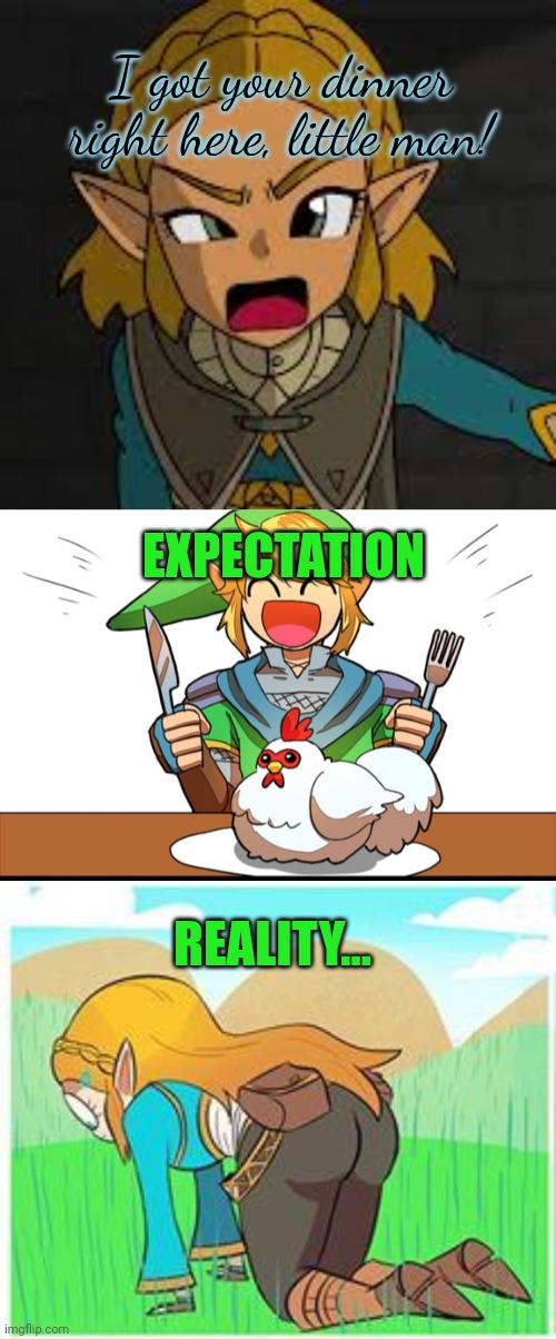 Legend of Zelda lore | I got your dinner right here, little man! EXPECTATION REALITY... | image tagged in legend of zelda,lore,wheres my dinner,princess,zelda | made w/ Imgflip meme maker