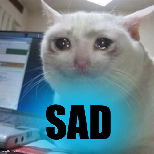 Crying cat | SAD | image tagged in crying cat | made w/ Imgflip meme maker