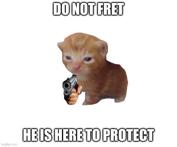 herbert | DO NOT FRET; HE IS HERE TO PROTECT | image tagged in herbert,cats,cat | made w/ Imgflip meme maker