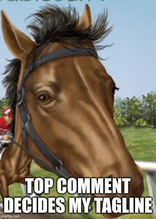 Big horse | TOP COMMENT DECIDES MY TAGLINE | image tagged in big horse | made w/ Imgflip meme maker