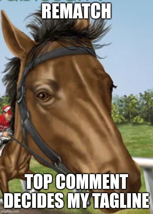 Big horse | REMATCH; TOP COMMENT DECIDES MY TAGLINE | image tagged in big horse | made w/ Imgflip meme maker