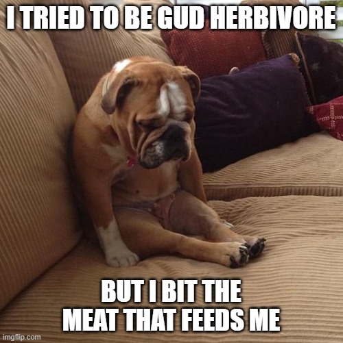 bulldogsad | I TRIED TO BE GUD HERBIVORE BUT I BIT THE MEAT THAT FEEDS ME | image tagged in bulldogsad | made w/ Imgflip meme maker