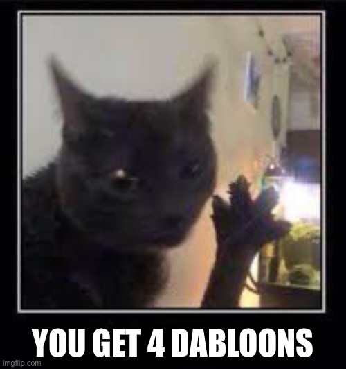 Dabloons Cat | YOU GET 4 DABLOONS | image tagged in dabloons cat | made w/ Imgflip meme maker