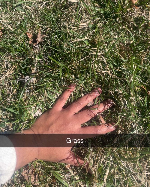 GRASS!1!1!1!1! :D | made w/ Imgflip meme maker