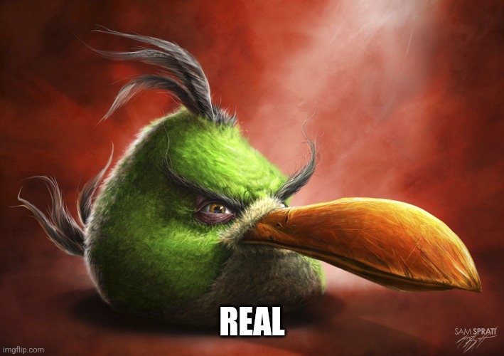 Realistic Angry Bird | REAL | image tagged in realistic angry bird | made w/ Imgflip meme maker