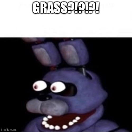 Bonnie Eye Pop | GRASS?!?!?! | image tagged in bonnie eye pop | made w/ Imgflip meme maker
