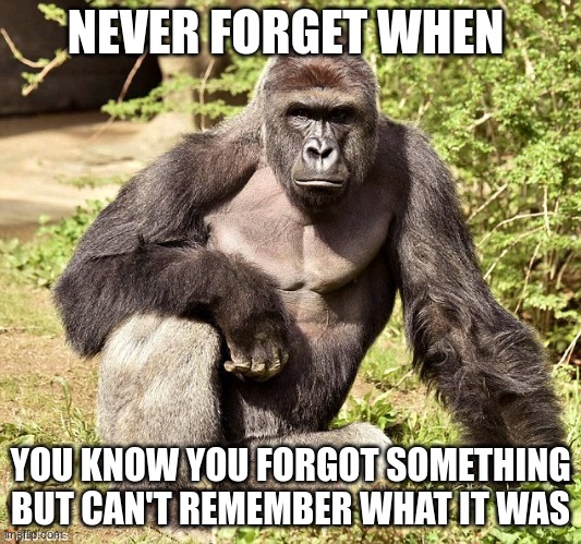 cheese | NEVER FORGET WHEN; YOU KNOW YOU FORGOT SOMETHING BUT CAN'T REMEMBER WHAT IT WAS | image tagged in never forget,never gonna give you up | made w/ Imgflip meme maker