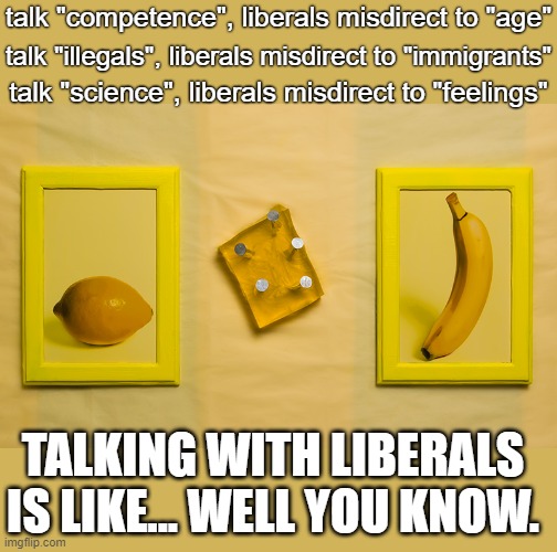 talk "competence", liberals misdirect to "age"; talk "illegals", liberals misdirect to "immigrants"; talk "science", liberals misdirect to "feelings"; TALKING WITH LIBERALS IS LIKE... WELL YOU KNOW. | image tagged in liberal logic,liberal hypocrisy,democrats,jello | made w/ Imgflip meme maker