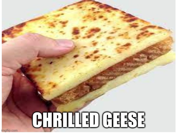 CHRILLED GEESE | CHRILLED GEESE | image tagged in grilled cheese | made w/ Imgflip meme maker