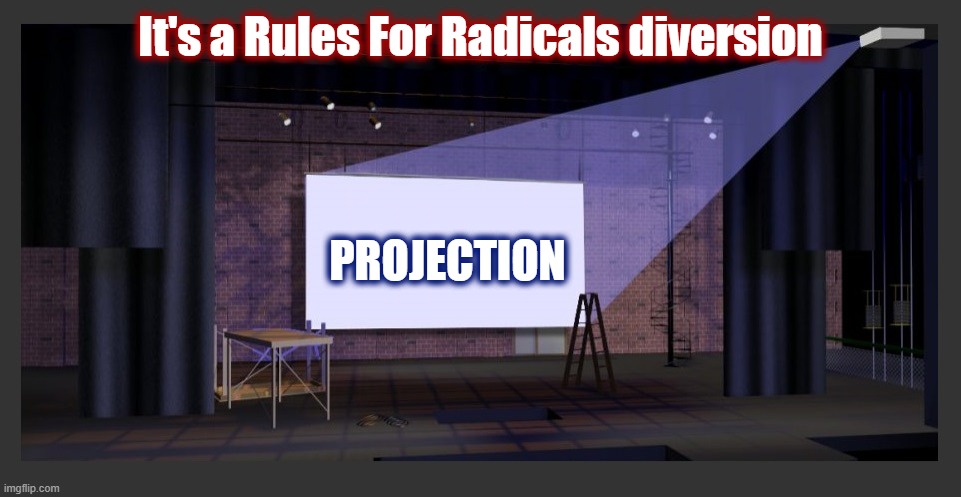 It's a Rules For Radicals diversion PROJECTION | made w/ Imgflip meme maker