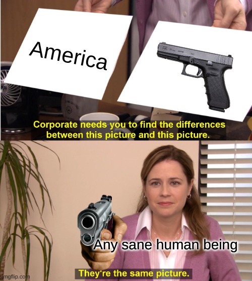 They're The Same Picture Meme | America; Any sane human being | image tagged in memes,they're the same picture | made w/ Imgflip meme maker