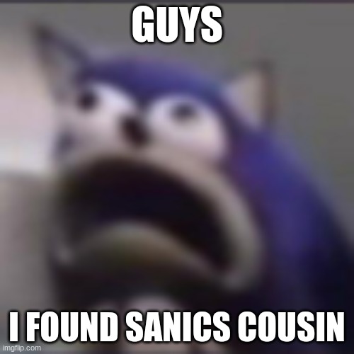 Live action | GUYS; I FOUND SANICS COUSIN | image tagged in distress,sonic the hedgehog | made w/ Imgflip meme maker