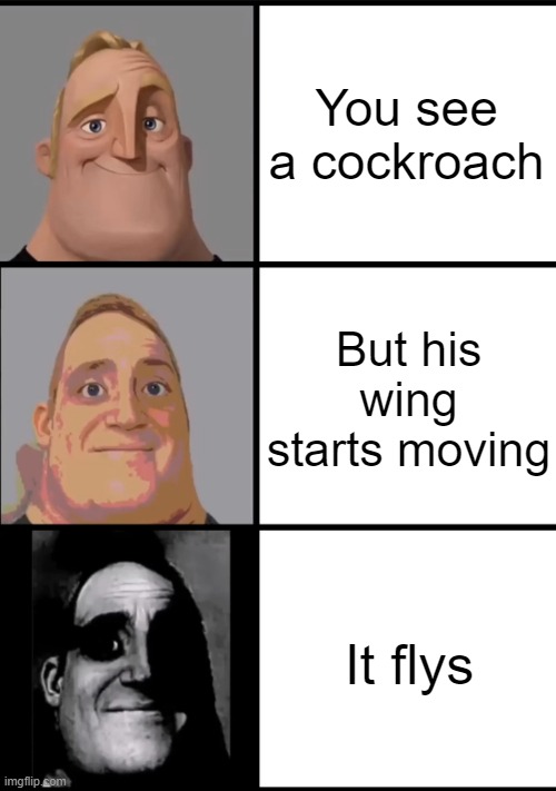 nahhhhh | You see a cockroach; But his wing starts moving; It flys | image tagged in 3 frame uncanny mr incredible | made w/ Imgflip meme maker